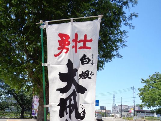 勇壮と白根ののぼり  