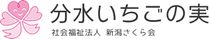 暖かい雰囲気のエントランス