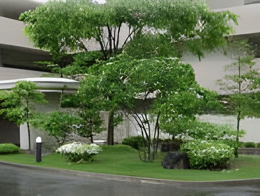 緑豊かな中庭