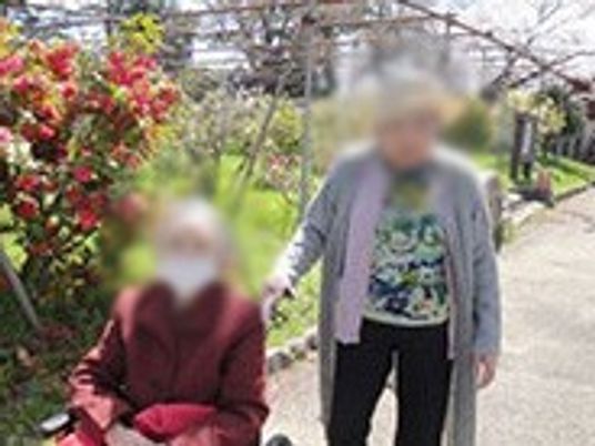 庭の様子