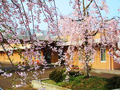 桜が咲く建物の外観