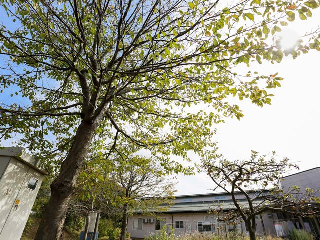 緑豊かな中庭 外観 木々に囲まれ心安らぐ空間で、季節を感じながら穏やかな時間を過ごせます。