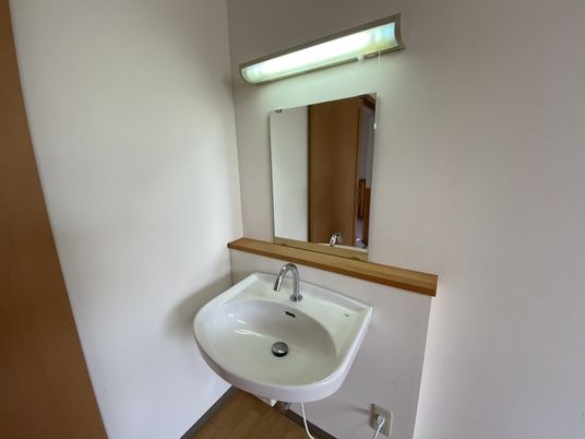 清潔な洗面スペース