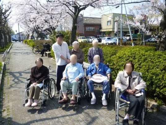 桜木の下の憩いのひと時