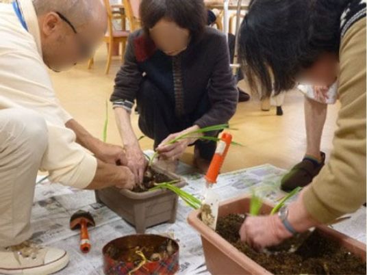 植物の植え替え作業