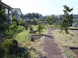 中庭の植栽と遊歩道