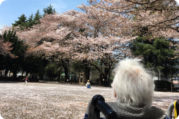 桜が咲く中庭