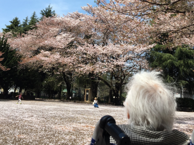桜が咲く中庭 中庭 桜が咲く中庭では、車椅子を利用する方も自然を満喫しながらリラックスできます。