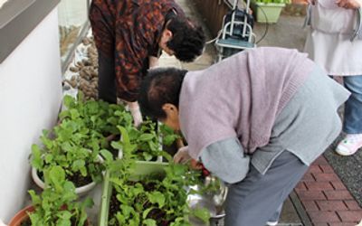 二人が植物を世話する庭