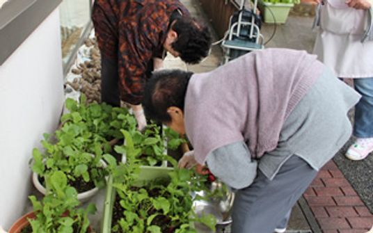 二人が植物を世話する庭
