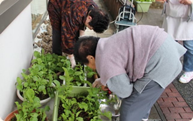 二人が植物を世話する庭