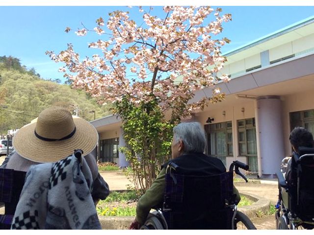 桜が咲く庭 庭 車椅子の方々が桜の木の下でくつろげる、自然を楽しめる癒しの場所です。