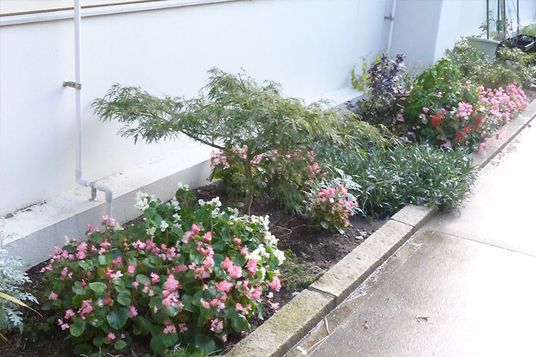 花壇がある庭