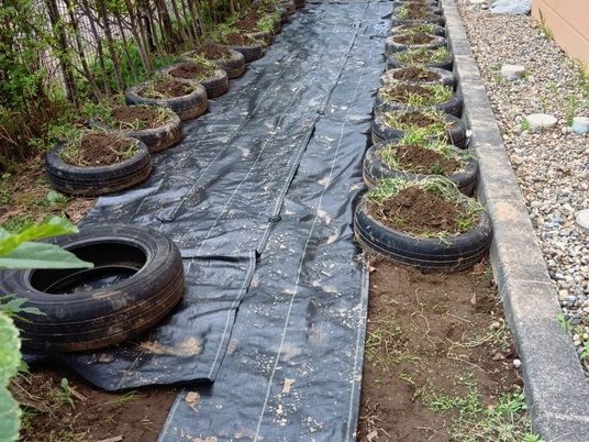 花壇のある庭園通路  
