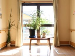 明るい居室の一角