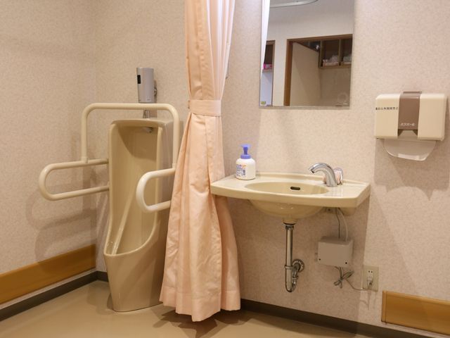 バリアフリーの洗面台とトイレ トイレ 安全に配慮された洗面スペースは、手すり付きで利用しやすくなっております。ケアを必要とする方々の快適性を考慮した設計です。
