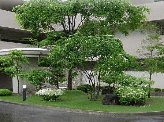 緑豊かな庭