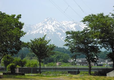 山が見える庭
