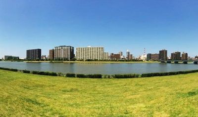 広がる芝生と川