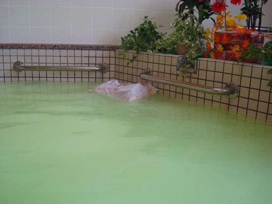 ゆったり浴槽と植物飾り