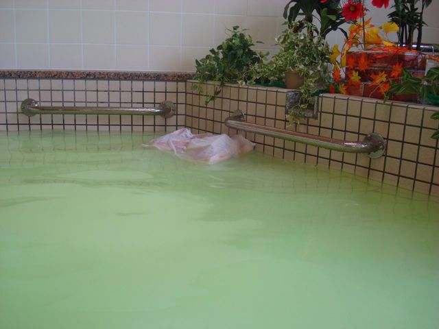 ゆったり浴槽と植物飾り 浴室 ゆったりとした浴槽には、安全を考えた手すりが設けられ、心地よいバスタイムを支援します。植物の装飾が温かみを感じさせ、リラクゼーションの時間を豊かに彩っています。