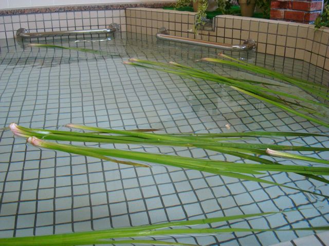 浴室のバリアフリー設計 浴室 安全に配慮された設計の浴室です。手すりが設置されており、支えが必要な方も安心してご利用いただけます。