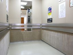 清潔な廊下とエレベーター