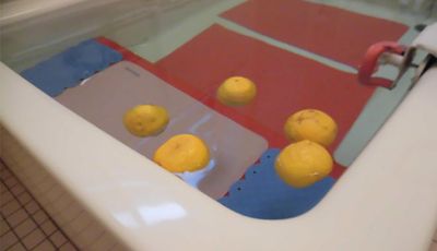 果物が浮く浴槽