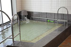 手すり付きの浴槽