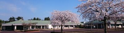 桜に囲まれた施設外観