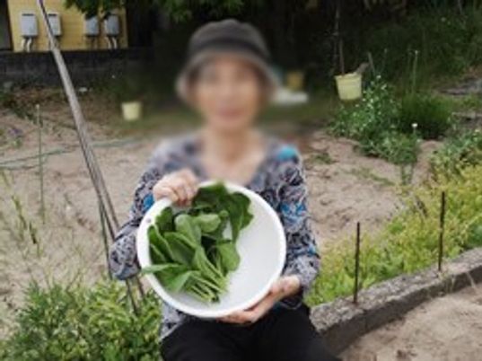 庭での収穫体験
