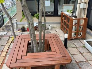 中庭の木々とベンチ  