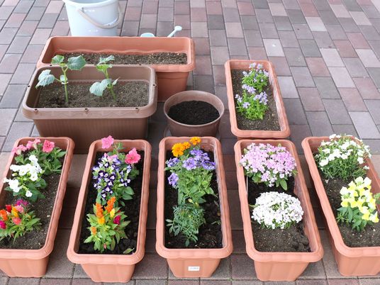 花壇のある中庭  