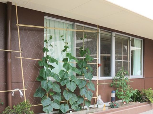 建物外観の植栽 外観   窓辺にグリーンが並び、落ち着いた雰囲気の建物外観です。明るい印象で、来訪時の安心感が伝わります。