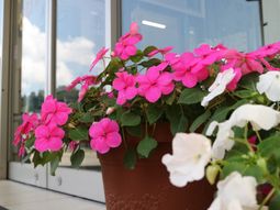 鮮やかな花が咲くエントランス