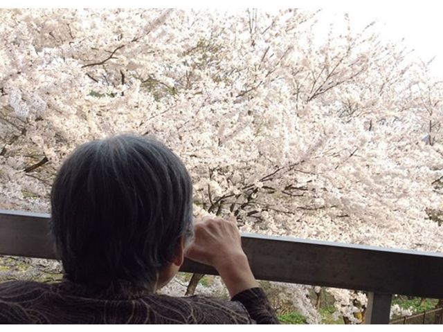 満開の桜を見る人 テラス 桜の季節には、自然を満喫しながら落ち着いたひとときをお過ごしいただけます。