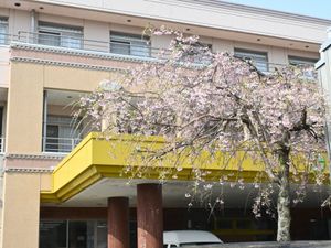 桜と建物の外観  