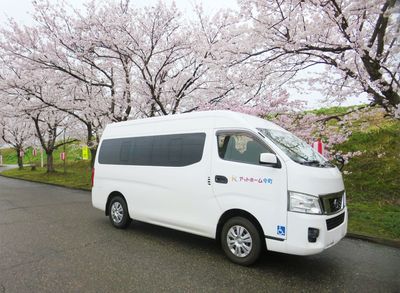 桜並木の送迎バス