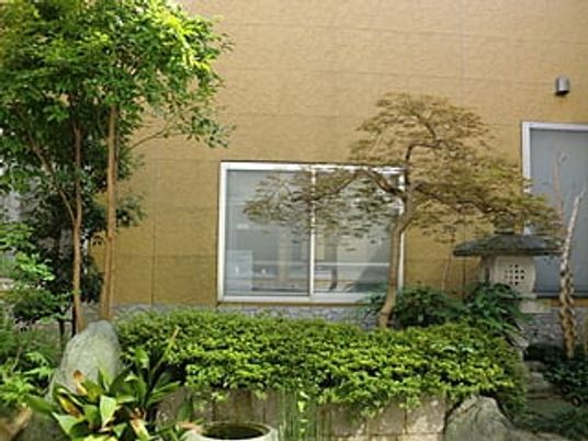 緑に囲まれた庭