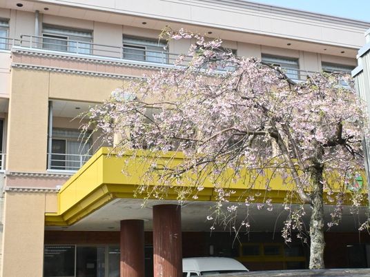 桜のある施設外観  