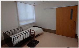自然光が差し込む居室