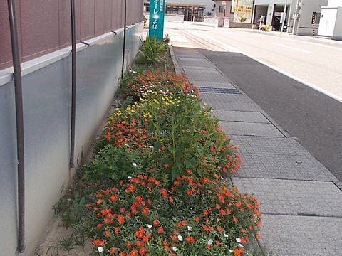 リハクラブWILLの外観