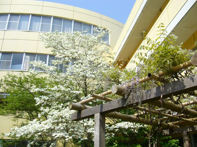静かな中庭 中庭 美しい花が咲く中庭は、リラックスしたひとときを過ごすのに最適です。