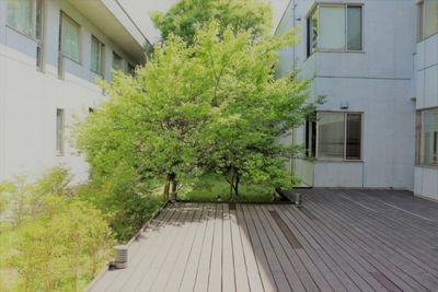 緑あふれる中庭