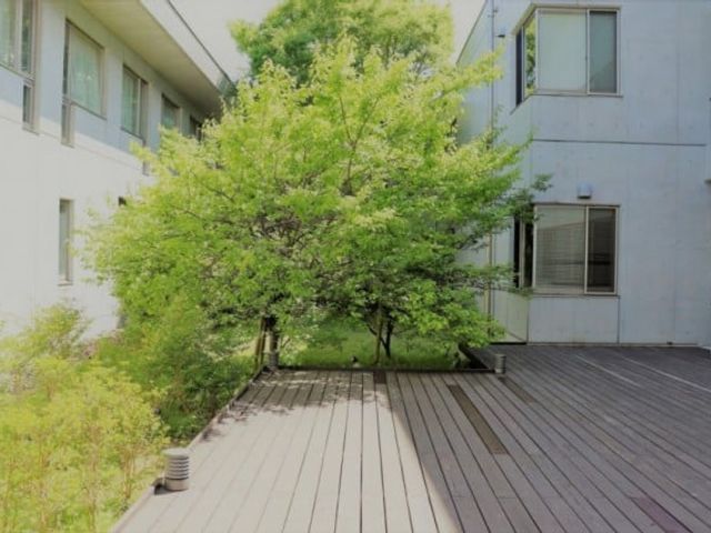 緑あふれる中庭 中庭 緑豊かな中庭で、リラックスしながら仕事への活力を得られます。自然光も心地よいです。