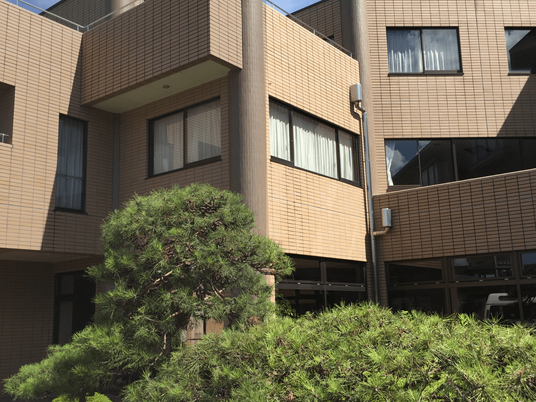 緑が映える建物外観  