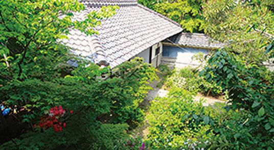 緑に囲まれた庭