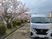 桜並木の外観  