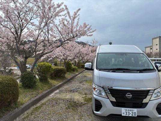 桜並木の外観  