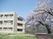 桜と建物の外観  